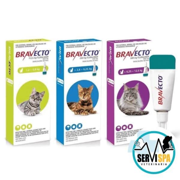 Bravecto gato 6.25 a 12.5 kg - Imagen 2
