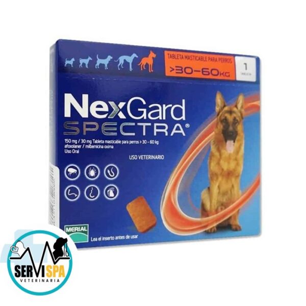 Nexgard Spectra 30-60 kg 3 comprimidos