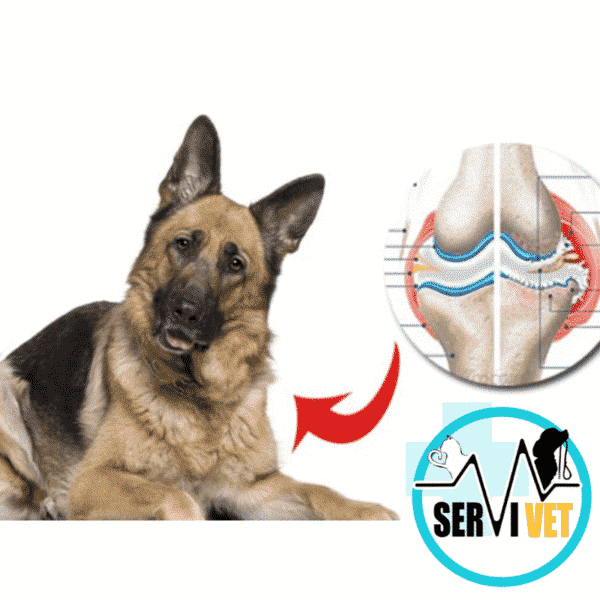 Artri-Tabs Para Perros 60 Tabletas - Imagen 2