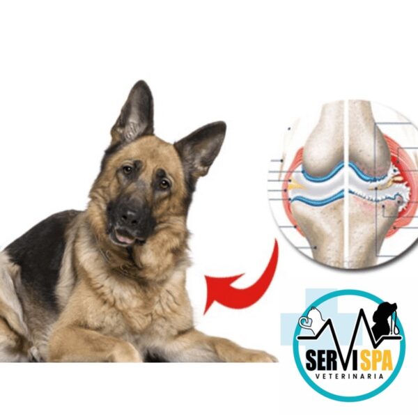 Artri-Tabs Para Perros 60 Tabletas - Imagen 2