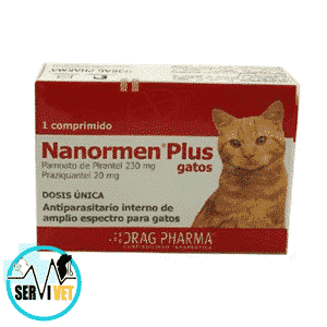 Nanormen